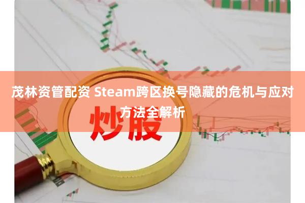 茂林资管配资 Steam跨区换号隐藏的危机与应对方法全解析